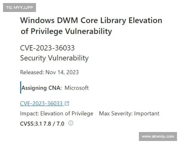 零日漏洞占去年大多数被利用的漏洞